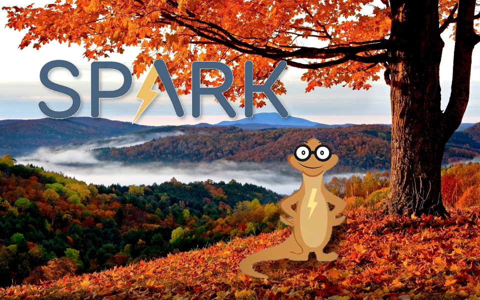 2024 – Spark Autumn Newsletter