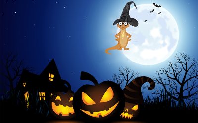 2024 – Spark Halloween Newsletter