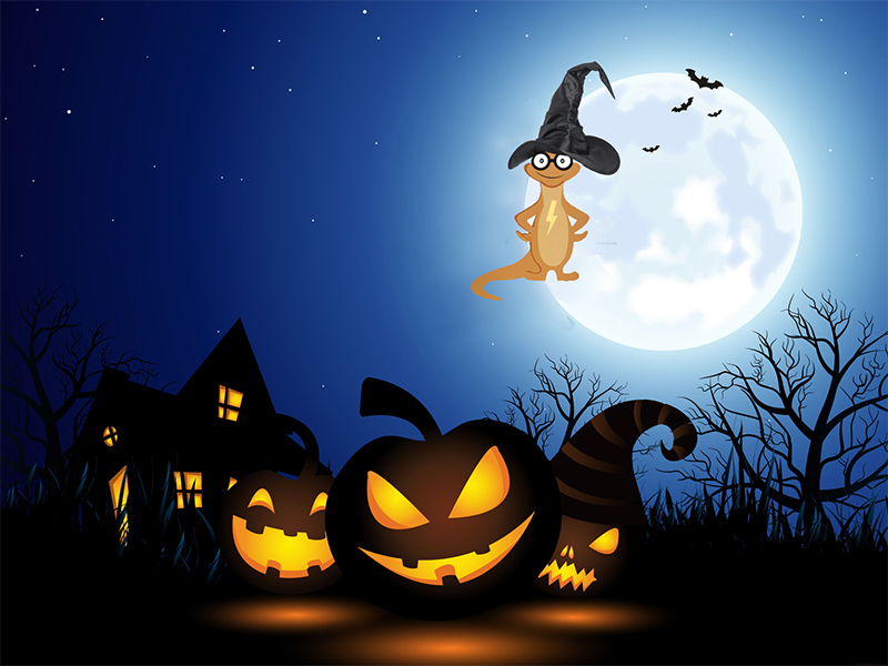 2024 – Spark Halloween Newsletter